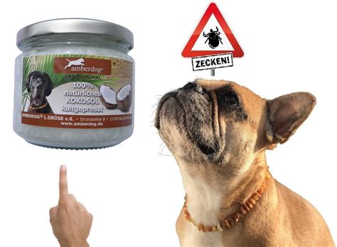 Kokosöl gegen Zecken und als Wurmkur für Hunde BARFbike