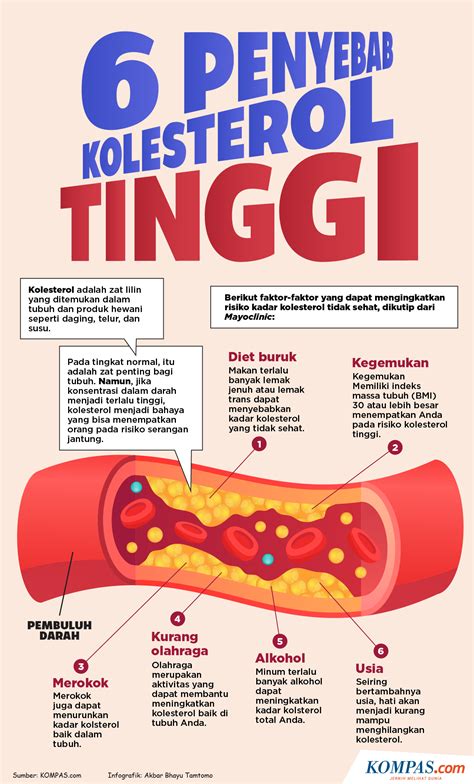 Kolesterol Tinggi: Penyebab, Gejala, Dan Cara Mengatasinya