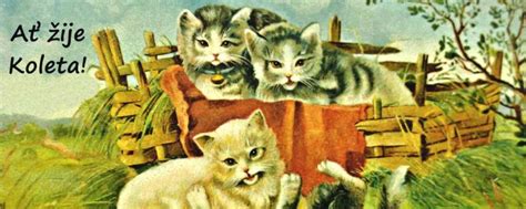 Unlock the Secrets of Koleta: A Journey Through Ancient Traditions