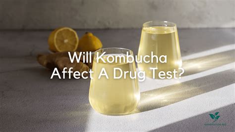 kombucha and drug tests