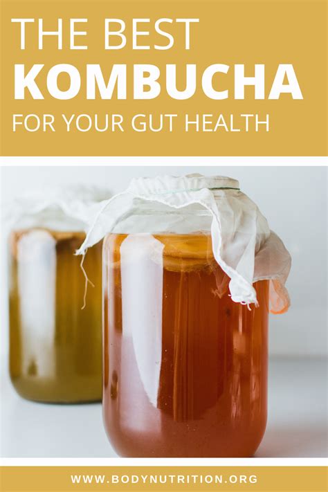 kombucha and gut health