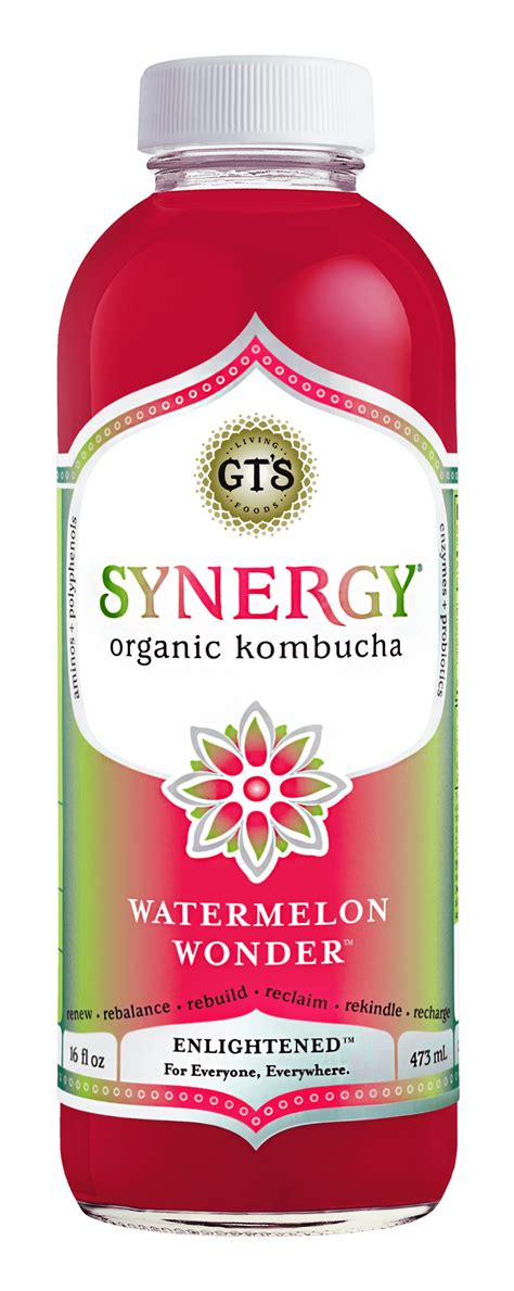 kombucha brands synergy