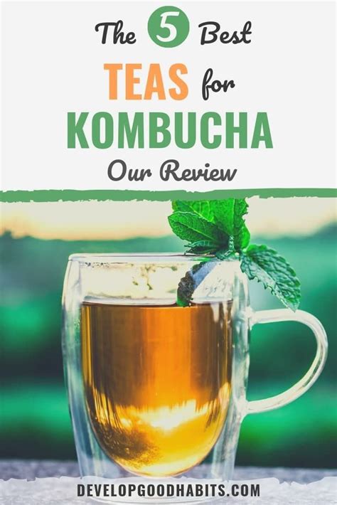 kombucha cleanse lose weight or not