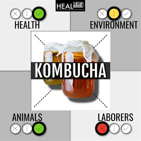 kombucha effects on liver