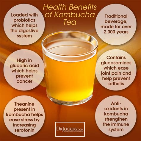 kombucha green tea health benefits