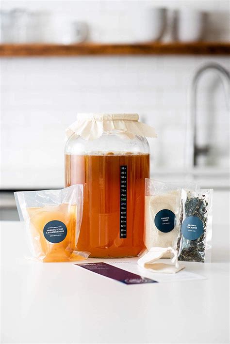 kombucha home kit australia