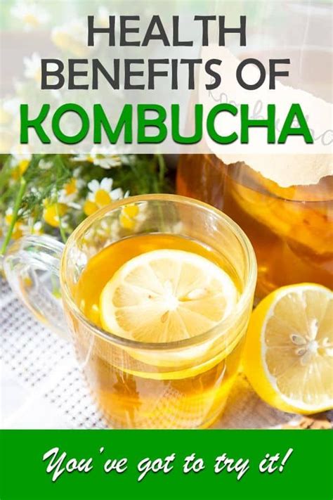 kombucha liver health