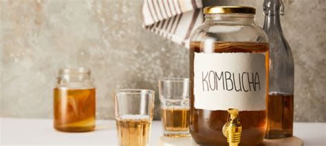 kombucha maken zonder suiker