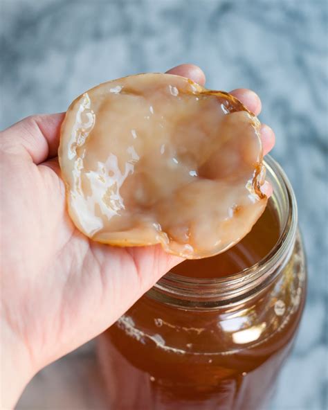 kombucha recipe with scoby