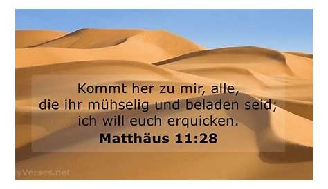 Matthäus 11:28 - Bibelvers - DailyVerses.net