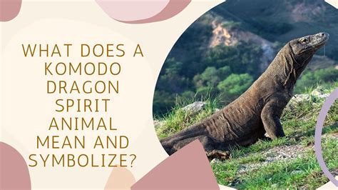 komodo dragon spirit animal