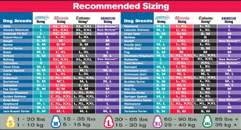 Kong Dog Crate Sizes