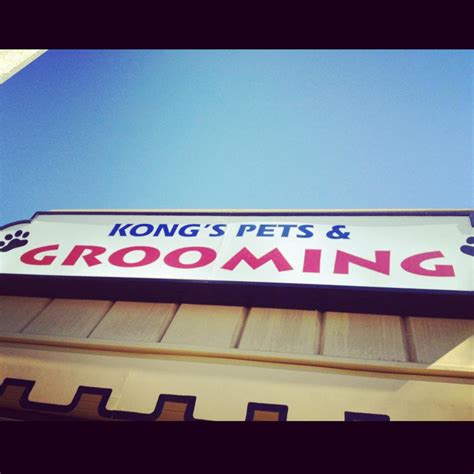 Kongs Grooming