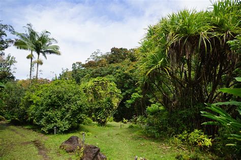 Koolau Forest Reserve, Hana Coast, Maui, Hawaii Stock Photo Alamy