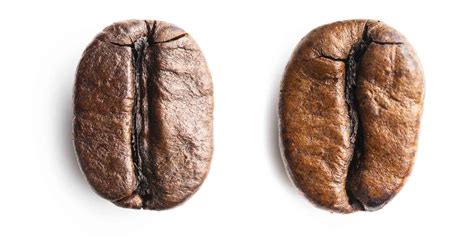Biji Kopi Arabica Robusta Biji kopi arabica dan robusta