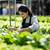 korean natural farming hydroponics