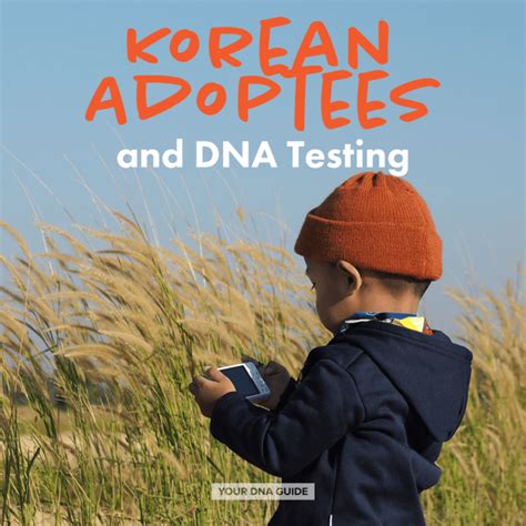 korean adoptee dna database