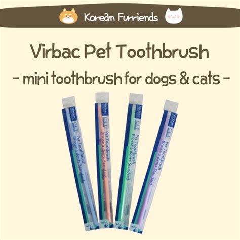 Korean Cat Toothbrush