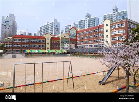 korean elementary school age