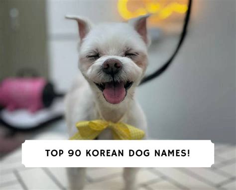 korean male dog names