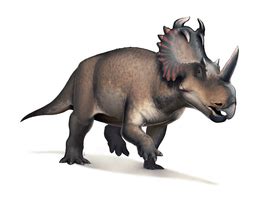 kosmoceratops pronunciation