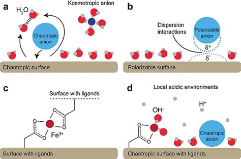 kosmotropic effect