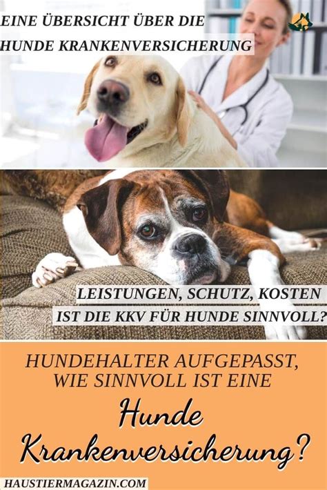 Startseite hundekrankenversicherungxxl.de