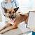 krankenversicherung hund kastration