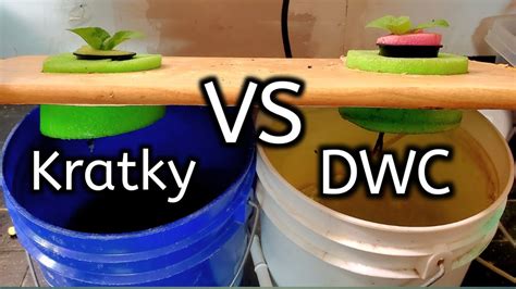 Kratky Method Vs Dwc