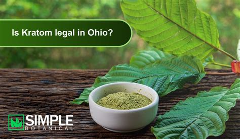 Kratom Legal In Ohio: What You Need To Know In 2023