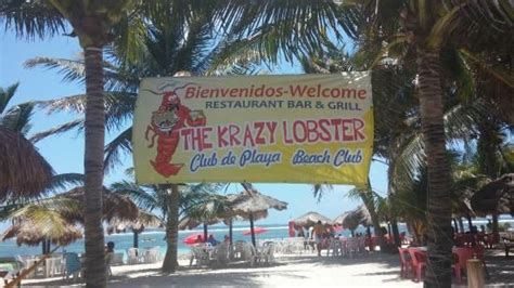 krazy lobster beach club costa maya
