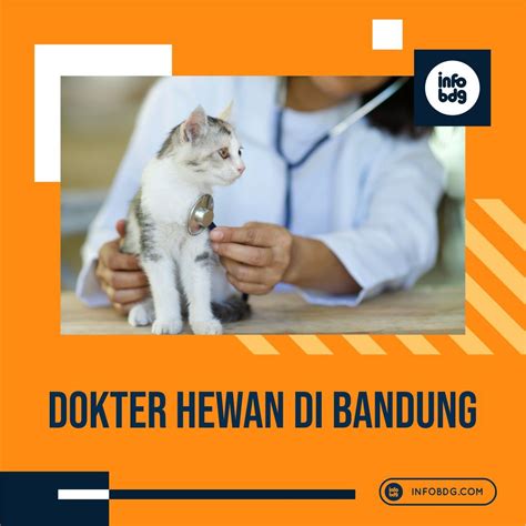 Kriteria Memilih Dokter Hewan di Bandung