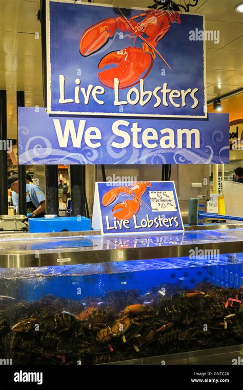 Kroger Live Lobster
