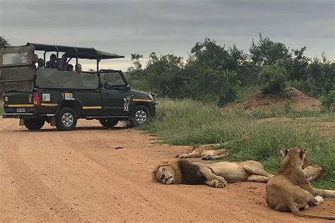 kruger day drive
