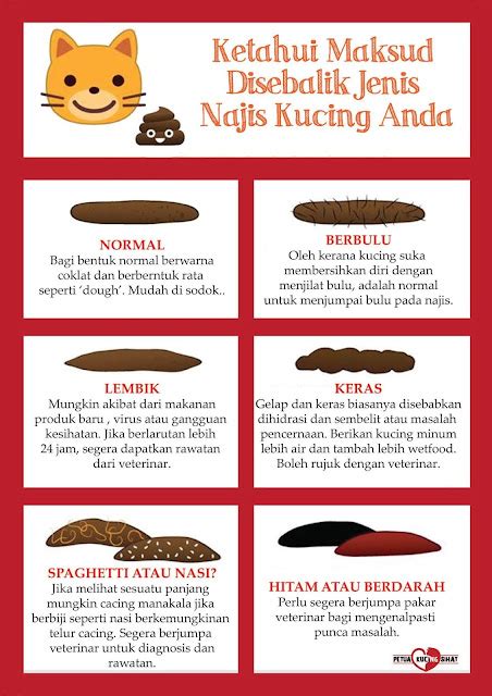 kucing cirit-birit lesu