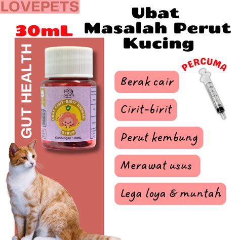 Kucing Sakit Cirit Birit