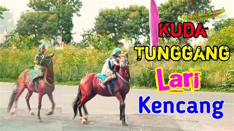 Kuda Lari Kencang