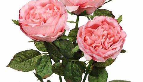 Amazon.de: 3 Stück Künstliche Rosen Hellrosa, Künstliche Blumen Wie