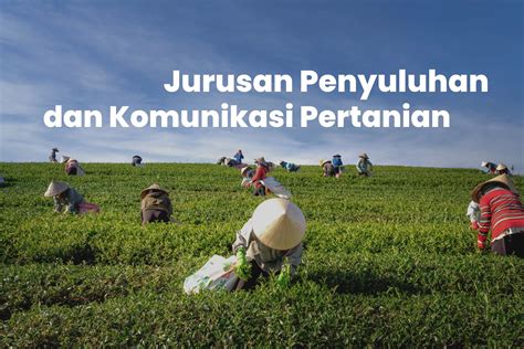 Kuliah Jurusan Penyuluhan Pertanian: Tips dan Prospek Karier