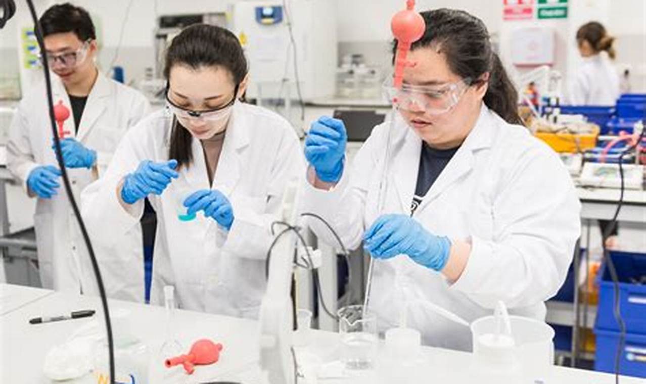 Panduan Kuliah Jurusan Teknik Kimia: Prospek Karir dan Tips Sukses