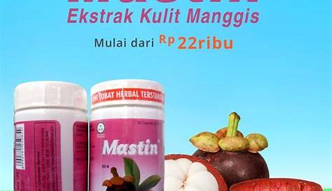 Teh Celup Herbal Kulit Manggis - Herbal Manjur Indonesia
