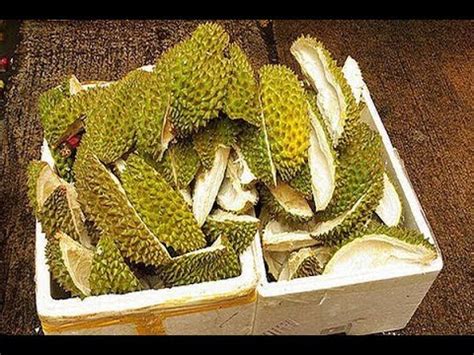 kulit-durian-pertanian