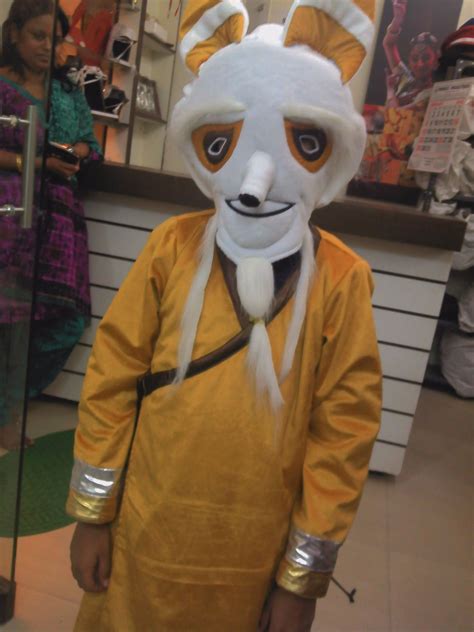 kung fu panda dog costume