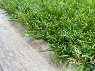 Kunstgras Intratuin Prijs