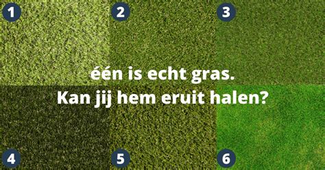 Kunstgras Vs Echt Gras