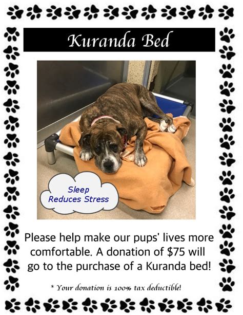 Kuranda Bed Coupon Code