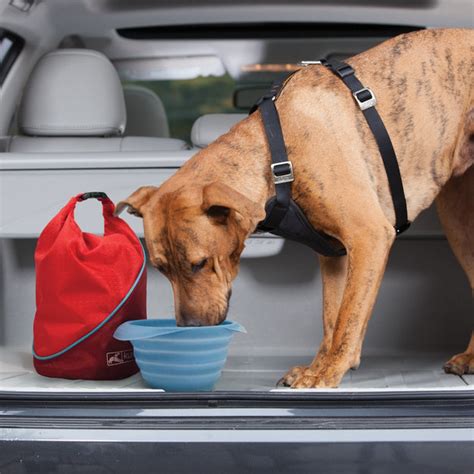 home.furnitureanddecorny.com:kurgo kibble carrier travel dog food container