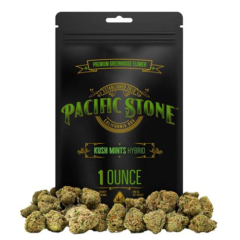 Kush Mints Strain Pacific Stone