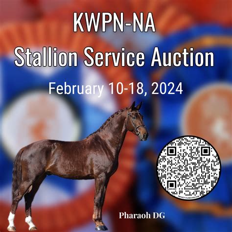 kwpn-na stallion service auction 2024