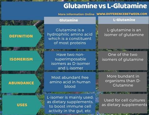 L Glutamine Vs Nac